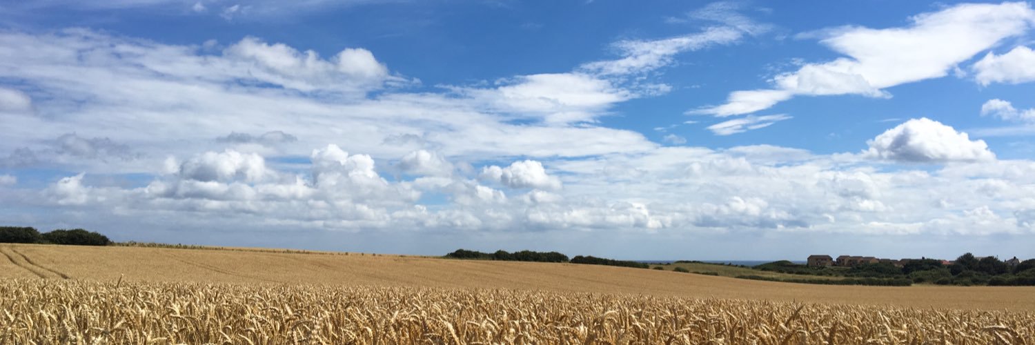 kevinkuszyk's profile banner image