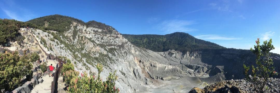 Linnea Werrett 👱 🈲 banner