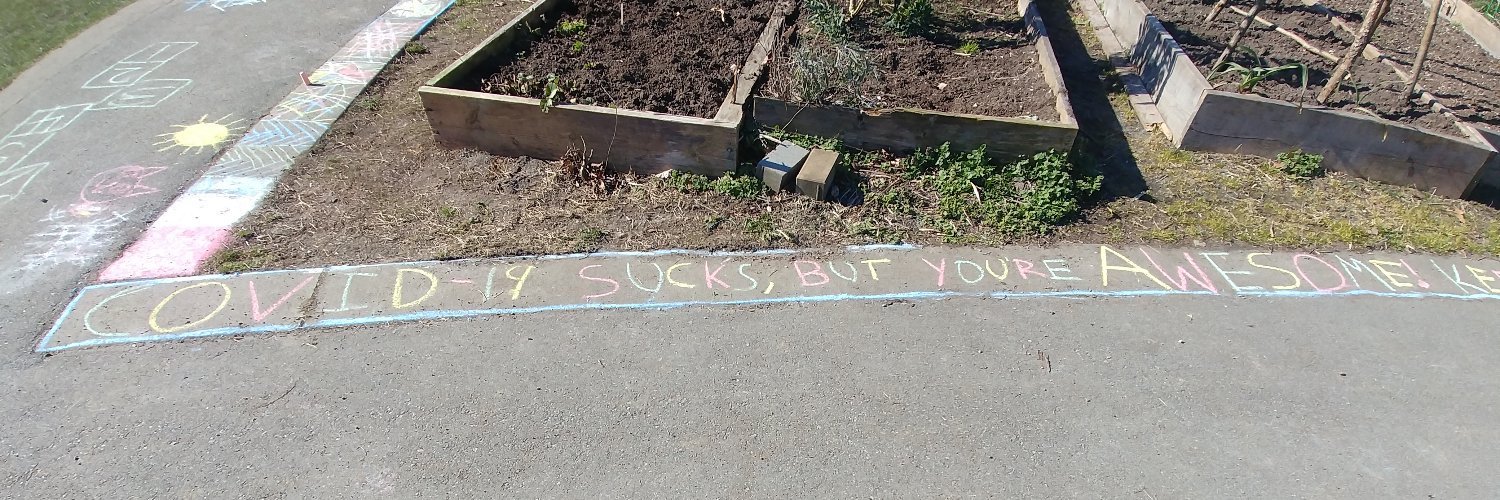 Michelle Hoar banner