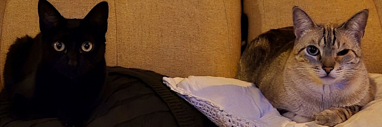 brupinca's profile banner image