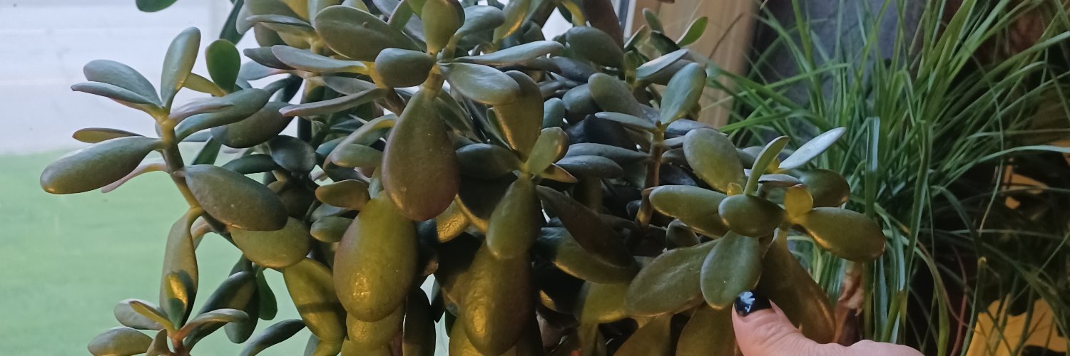 esmie in ks voted no banner