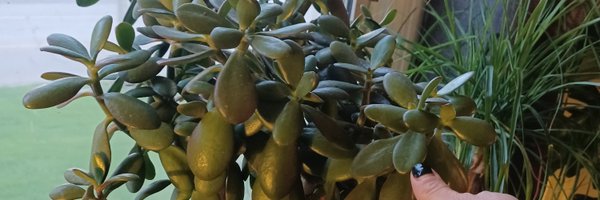 esmietee Profile Banner