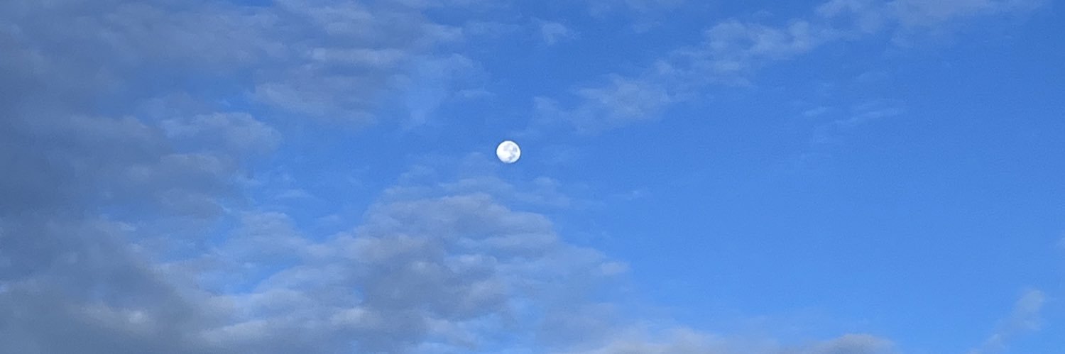 itbedobelikethat banner