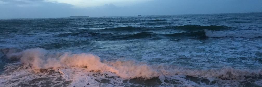 Isabelle Thomas banner