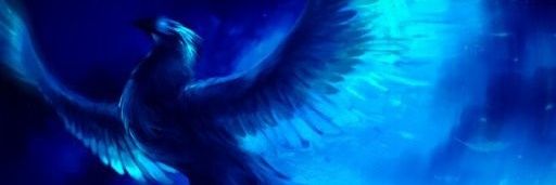 Eeshah14's profile banner image