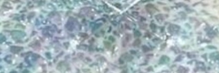 こ banner