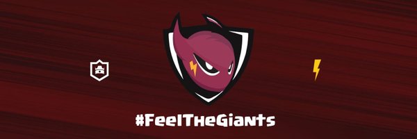 LittleGiantsLG Profile Banner