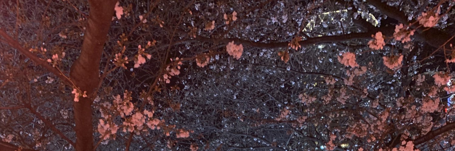 rosemoon_clover's profile banner image