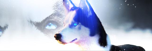 scheffer_marnix's profile banner image
