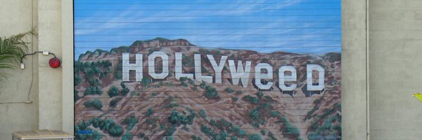 LizHWrites Profile Banner