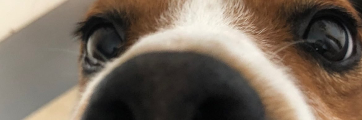 BenjaTroisi's profile banner image