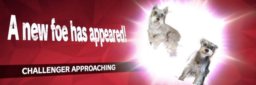 SnowdenIII's profile banner image