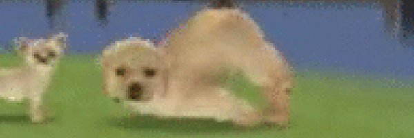errai Profile Banner