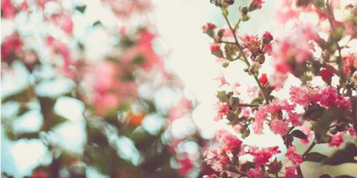 Raheeq_22's profile banner image