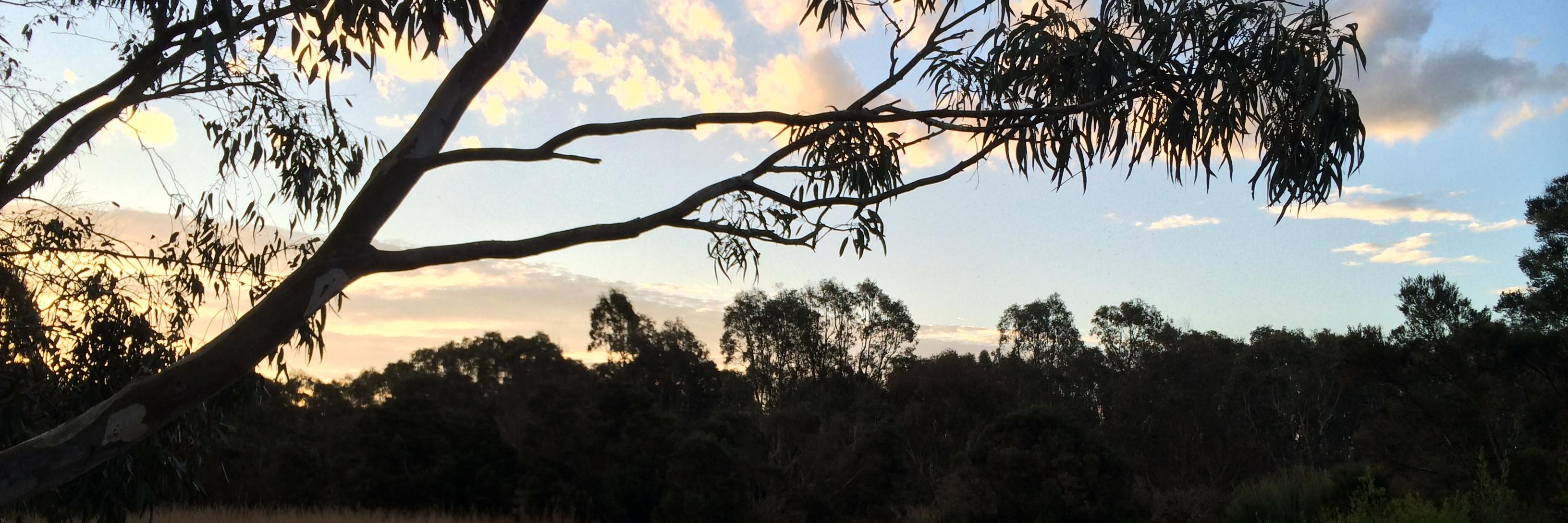 Fannish's profile banner image