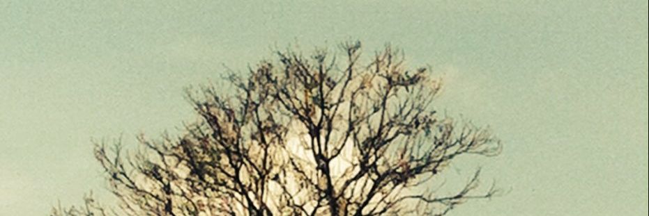 wipoe__'s profile banner image