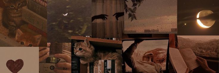 ingridester209's profile banner image