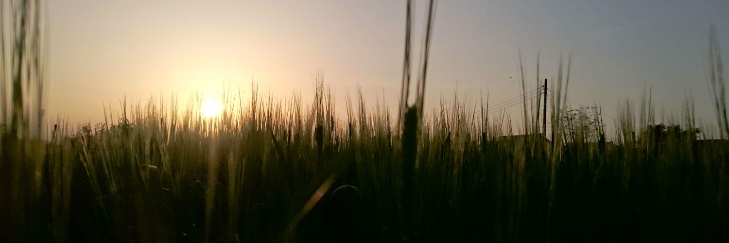 GL_RYE's profile banner image