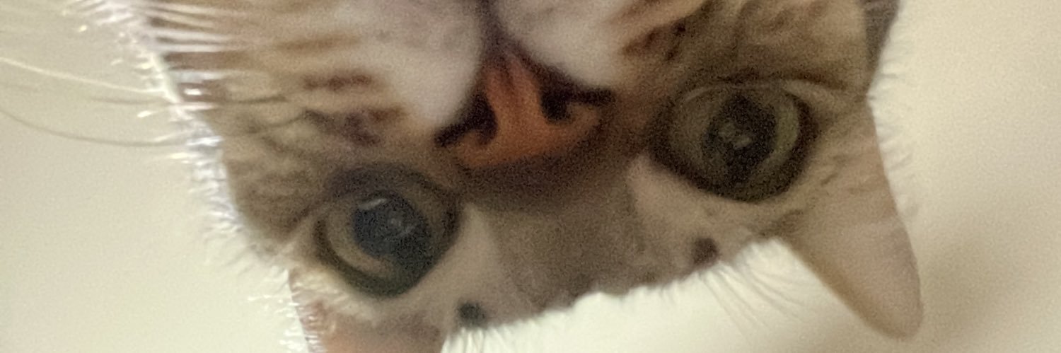 jutomesani's profile banner image