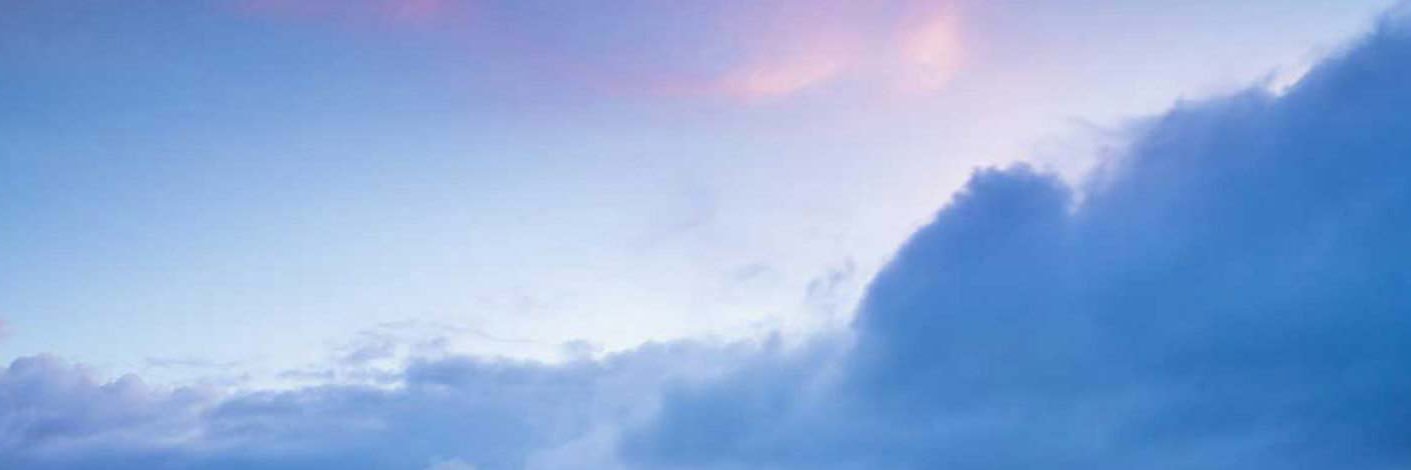 duckroastedfine's profile banner image