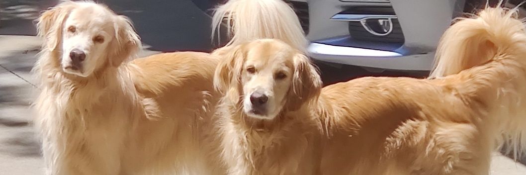 brentdroid's profile banner image