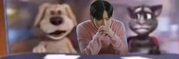 cutiepatootie ⋆˚࿔ banner