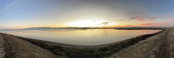 withinsight Profile Banner