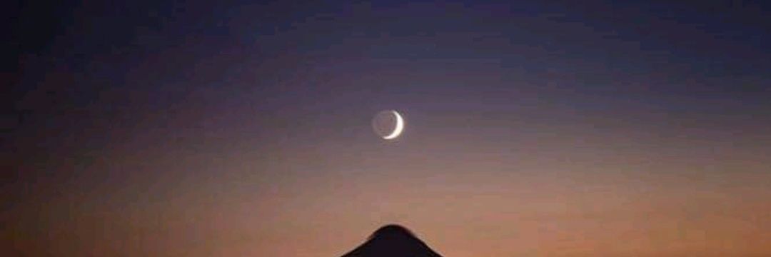 Marta Lendeborg banner