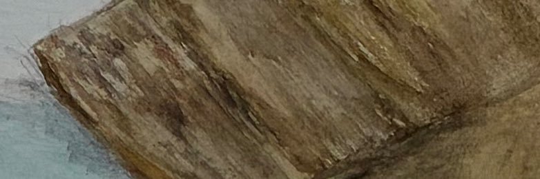 Grasscat13's profile banner image