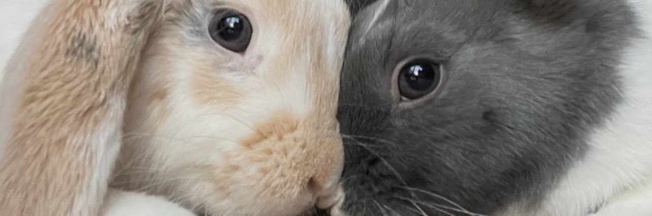 livv379's profile banner image