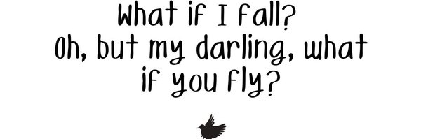 Donnalbird Profile Banner