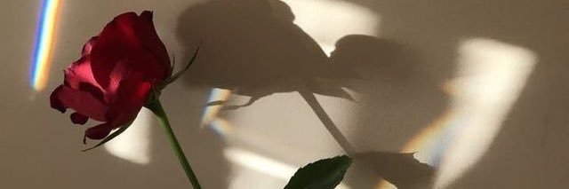 maë 🤡 banner