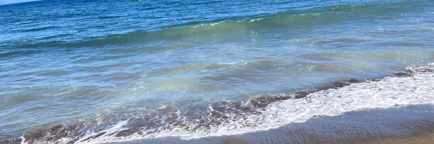 tomi ARKESTRA LAW banner