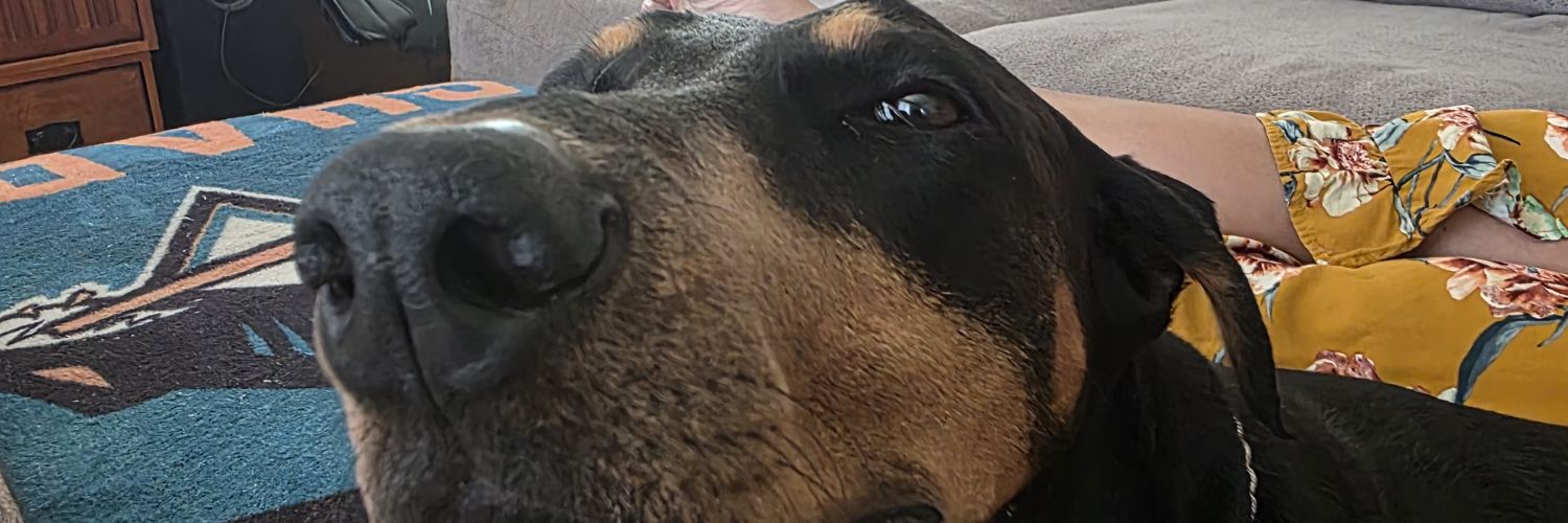dissagree2agree's profile banner image