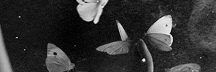 𝐓𝐇𝐔𝐍𝐖𝐀 | LIFE IS SHIT banner