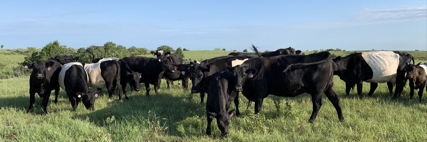 nickellcattle's profile banner image