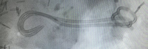 Soton_EUS Profile Banner