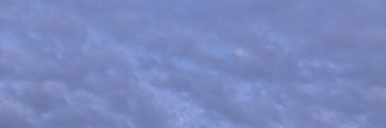 alisonmrls__'s profile banner image