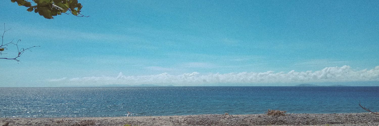 NaomiOrd's profile banner image