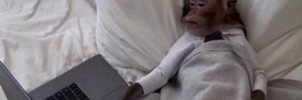 fisayo_joe Profile Banner