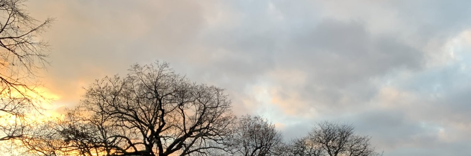 sara_tyma's profile banner image