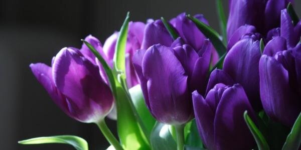 ti_wpd's profile banner image