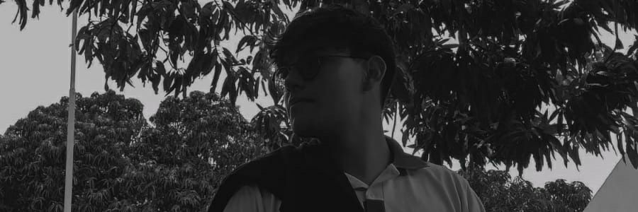 peaga_x's profile banner image