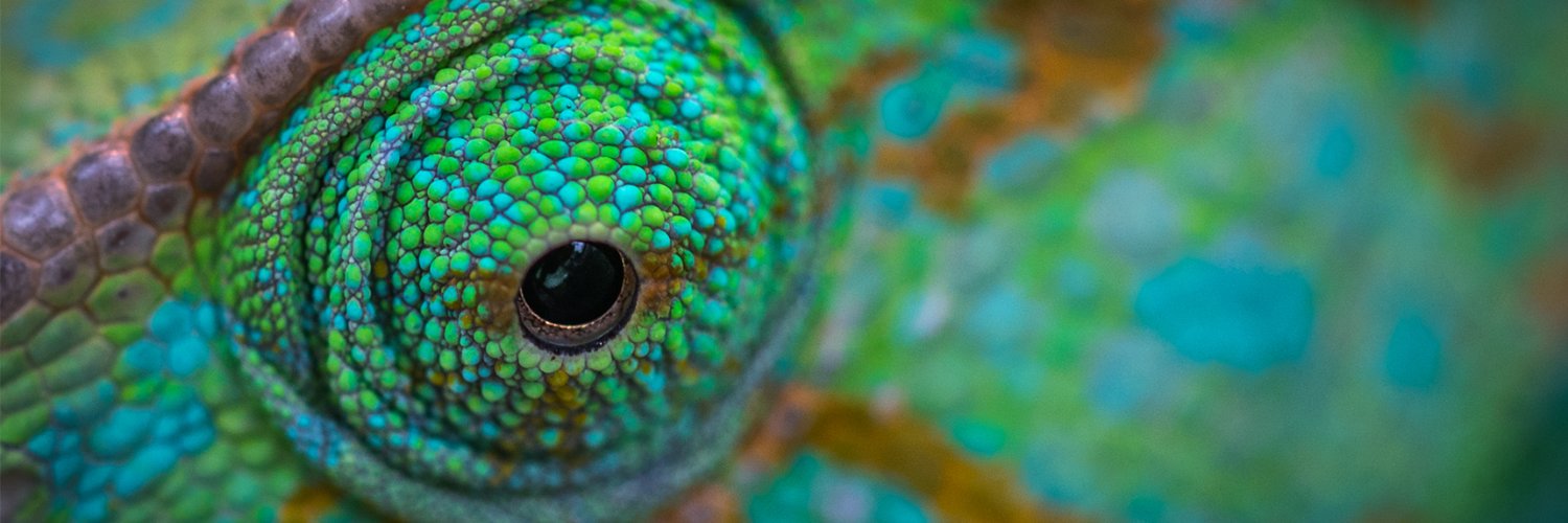 Emys_ART's profile banner image