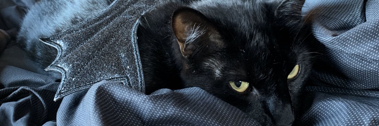 katelynmp4's profile banner image