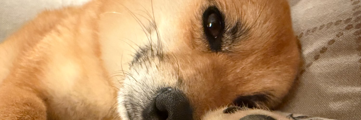 bbleyzat's profile banner image