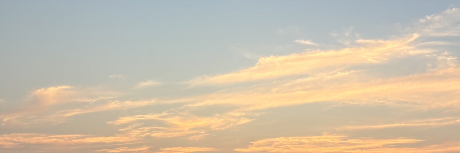 nox2el's profile banner image
