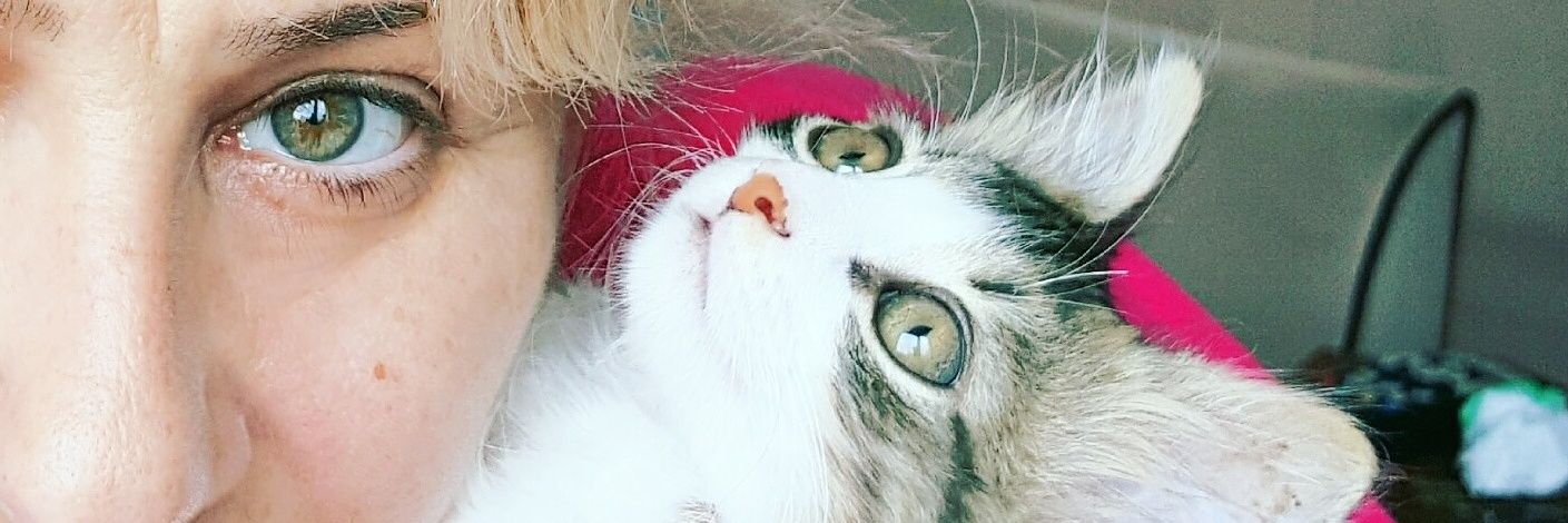 CanAyfer's profile banner image