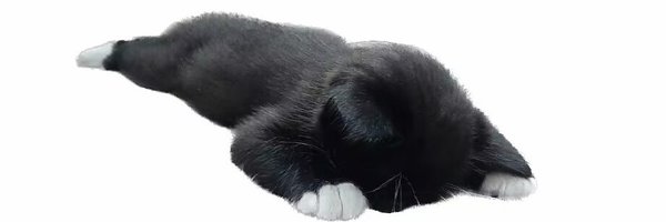 mooliDragon Profile Banner