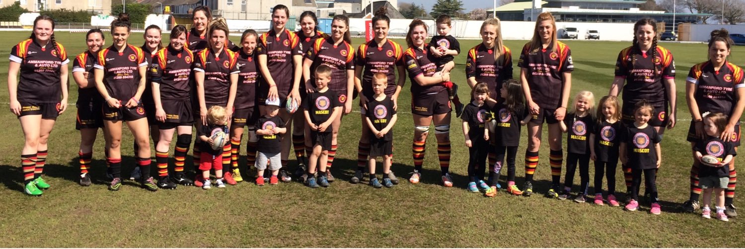 Penybanc Panthers banner